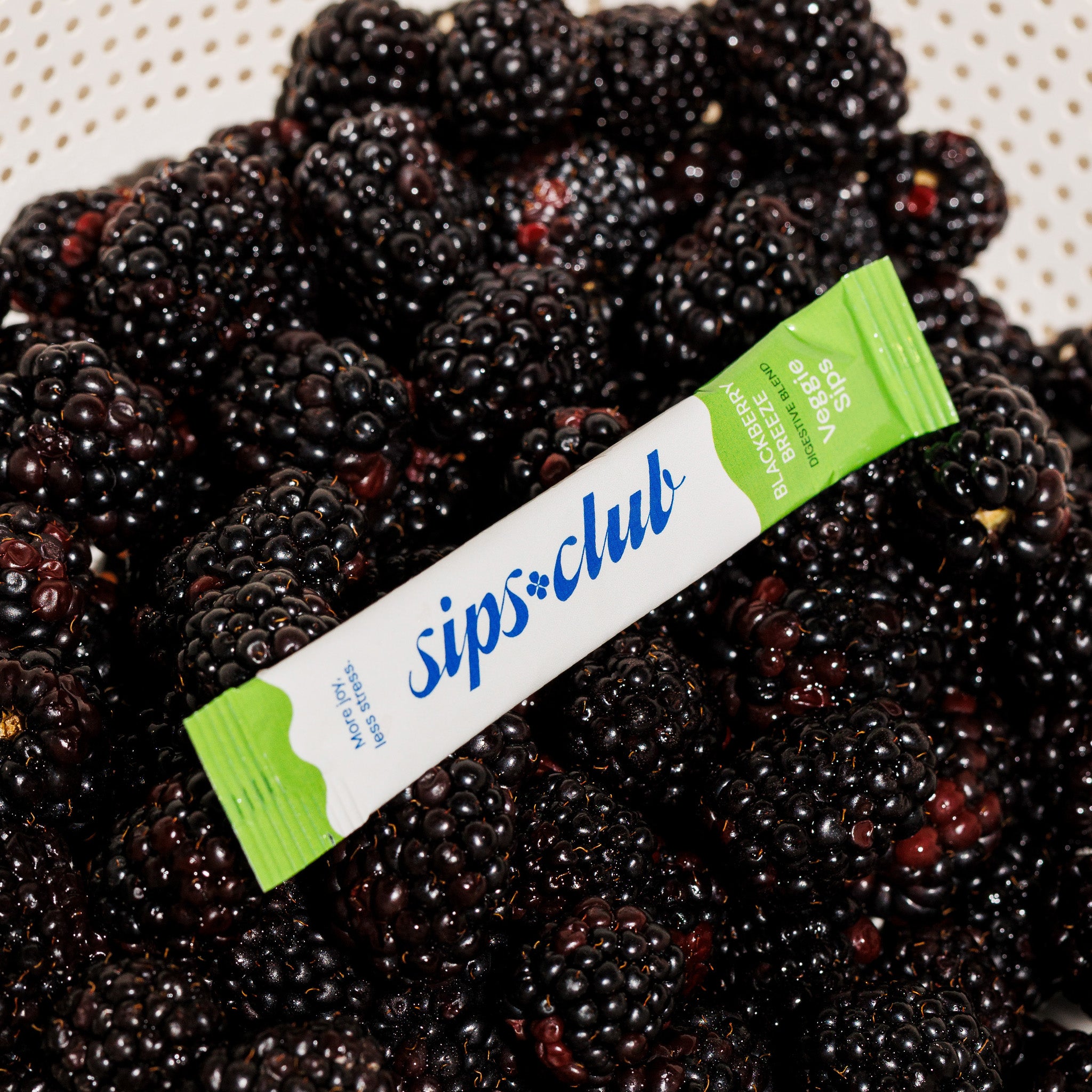 Blackberry Breeze (10 Pack)